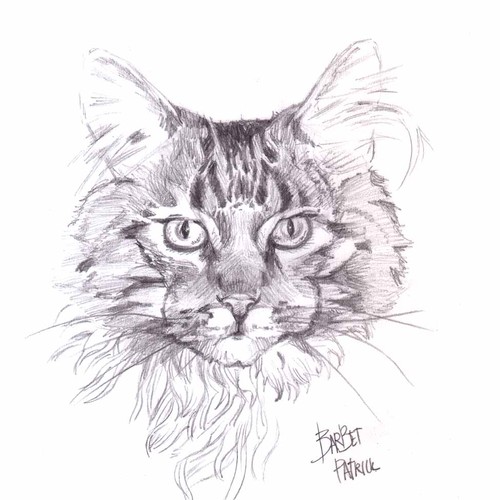 chat testsieger Hof chat testsieger Hof