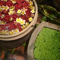 60 - PONDICHERY et AUROVILLE