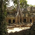 69- CAMBODGE, Angkor