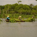 71 - VIETNAM