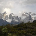 84 - LE PARC TORRES DEL PAINE