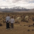 98 - CANYON DE COLCA