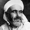 vive thamazight