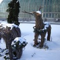 2006 - Janvier, Jardin botanique