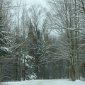 2006 - 08 janvier, Parc de la Yamaska