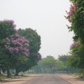 5. Kinshasa, vues de la voiture