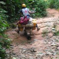 004 Field trip Est Kisangani, Congo