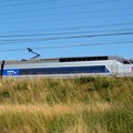 TGV Atlantique en pleine vitesse