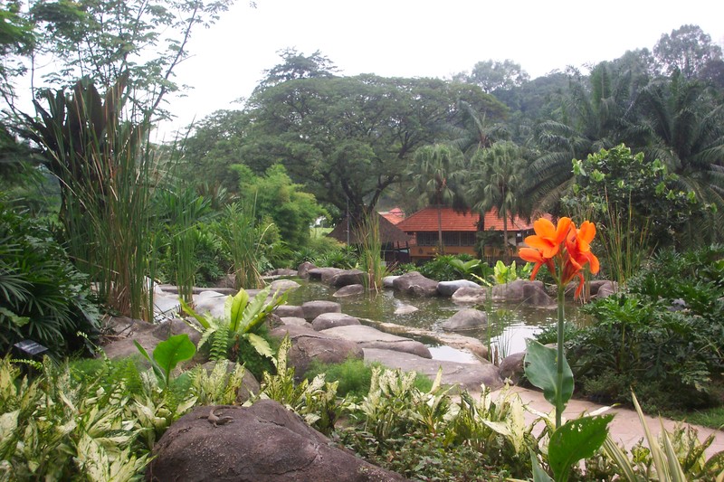 Jardin botanique - Photo de KUALA LUMPUR - LES FRENCHIES EN MALAISIE