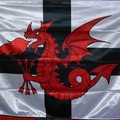 Politique: Aerouant Ruz (le Dragon Rouge)