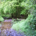 ruisseau dans la forêt,Meil ar C'hoat
