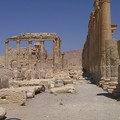 Palmyre