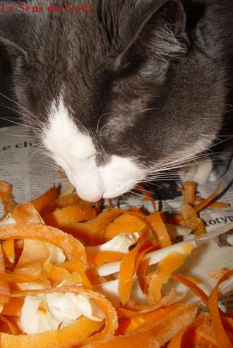 Epluchures carottes.Claire.Le Sens du Goût