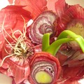 oignons rouges.Lilizen.Gastronomades