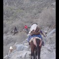 Vendredi 18/11 - Trek Colca canyon