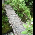 31/10 - Jour 4 Trek - et son pont