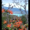 Vendredi 23/12- Patagonie - Torres del Paine