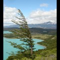 Samedi 24/12 - Patagonie - Torres del Paine