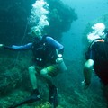 Underwater Koh Tao - Koh Phi Phi