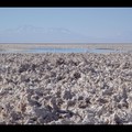 Samedi 15/10 - Chili - Salar de Atacama