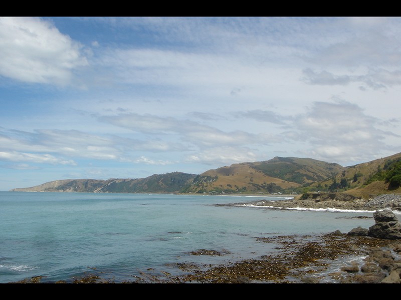 Vendredi 13/01 - NZ - Ile du sud - Kaikoura
