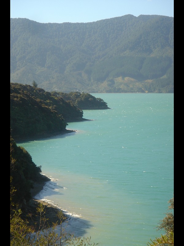 Dimanche 15/01 - NZ - Ile du sud - Marlborough sounds