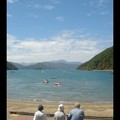 Samedi 14/01 - NZ - Picton - Tamalou's beach 