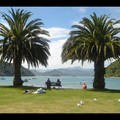 Samedi 14/01 - Picton - C'est pas paisible comme endroit ?