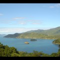 Samedi 14/01 - NZ - Ile du sud - Marlborough sounds