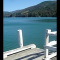 Dimanche 15/01 - NZ - Ile du sud - Marlborough sounds