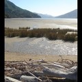 Dimanche 15/01 - NZ - Ile du sud - Marlborough sounds