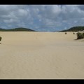Dimanche 26/02 - Queensland - Fraser Island