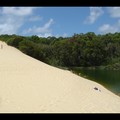 Dimanche 26/02 - Fraser Island - Lac Wabbi et dunes