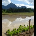 Mercredi 31/05 - Laos - Vang Vien