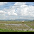 Samedi 27/05 - Nord Thailande - Fini le riz
