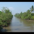 Jeudi 11/05 - Vietnam - Delta Mekhong - An Binh