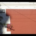 Vendredi 6/01 - Chili - Valparaiso 