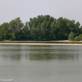 La Loire en Juin incite à la méditation…