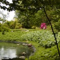 Vue de la source du Loiret sur les rhodo…