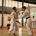 Championnat par équipe de club 2006