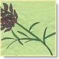 lavender_gardens_2