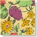 poppy_honesty_1