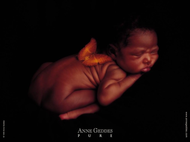 Bebe Black Papillon Photo De Anne Geddes L Univers De Katy