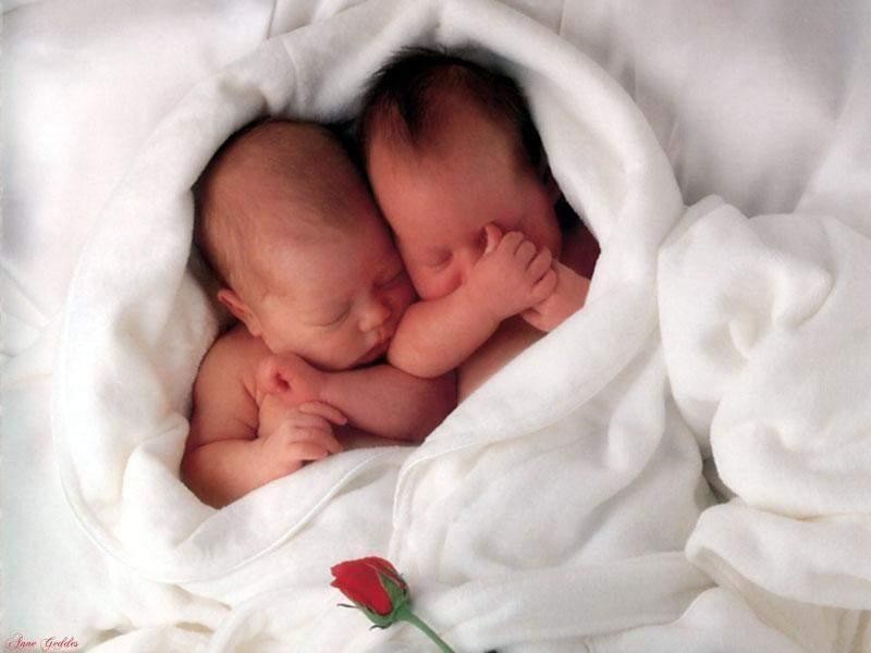 Deux Bebes Rose Photo De Anne Geddes L Univers De Katy