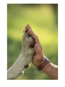 jim_dutcher_photo_main_loup