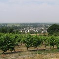 Bonnezeaux_2006_0111