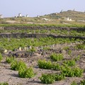 Cyclades_2004_006