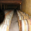 ds_languedoc_004