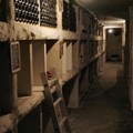 ds_languedoc_006