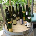 RE_VE_du_VIN_2006_014